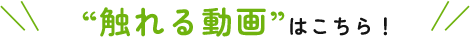 “触れる動画”はこちら！